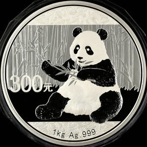 2017 panda 1kg silver coin