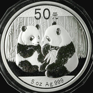 2009 panda 5oz silver coin